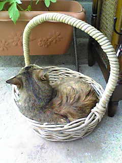 c0103205_19102353.jpg