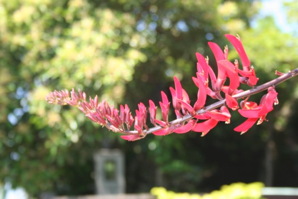 e0013207_17513236.jpg