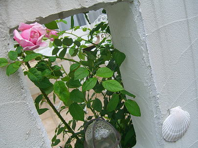 e0112312_15132789.jpg