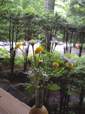 a0091314_0433687.jpg