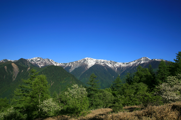 f0081726_9445366.jpg