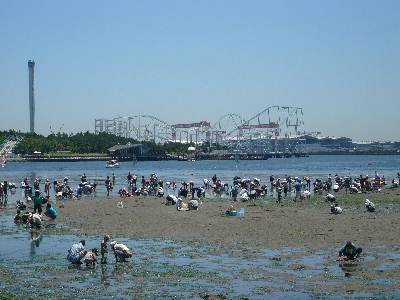 e0065031_5221572.jpg