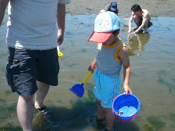 e0065031_5282533.jpg