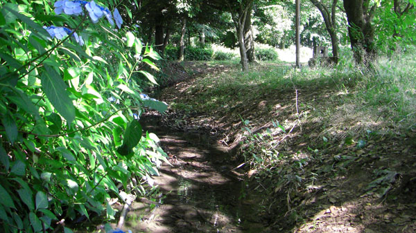 e0044635_10504994.jpg