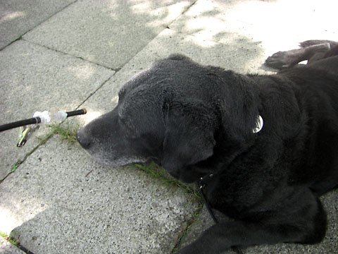 e0044635_10573497.jpg