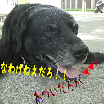e0044635_11125625.jpg
