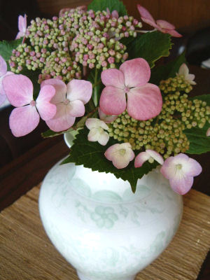 c0069036_17473677.jpg