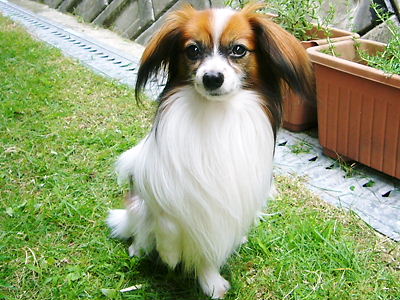 e0100046_20543611.jpg