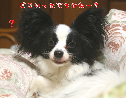 d0013149_2135831.jpg