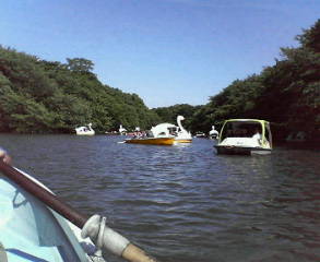 f0045956_1325990.jpg