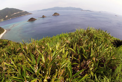 b0062363_211913100.jpg
