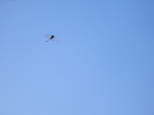 b0046664_1341587.jpg