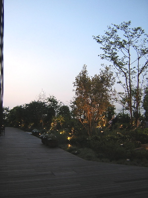b0046664_1543195.jpg