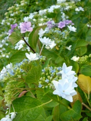 c0102268_2149308.jpg