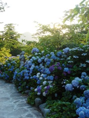 c0102268_22194622.jpg