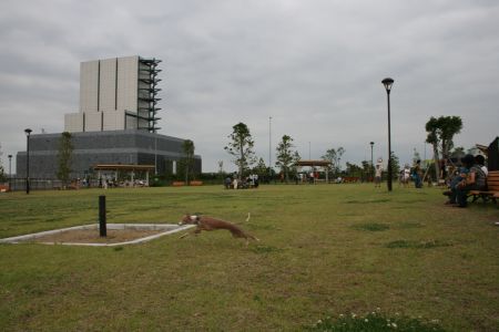 e0062371_22192297.jpg