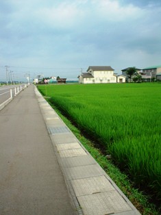 a0098372_10342591.jpg