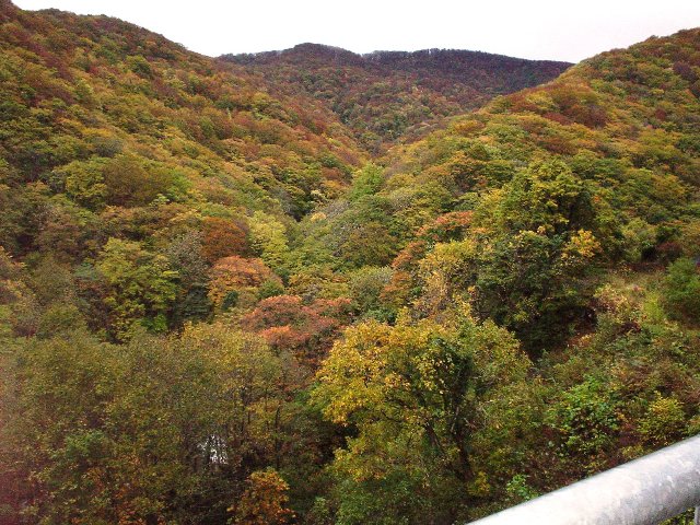 a0098372_118678.jpg