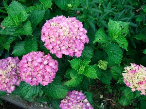 c0072572_9173913.jpg