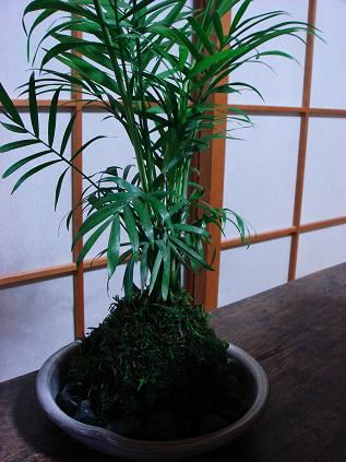 e0088074_21131760.jpg