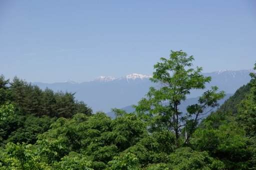 f0054075_10312294.jpg