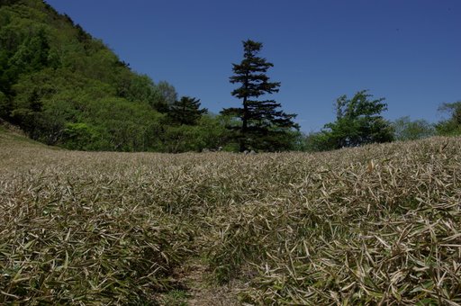 f0054075_11224880.jpg