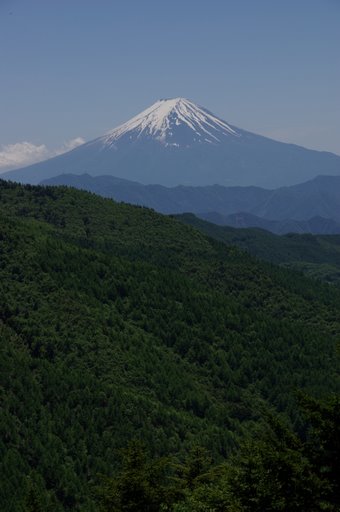 f0054075_1183360.jpg