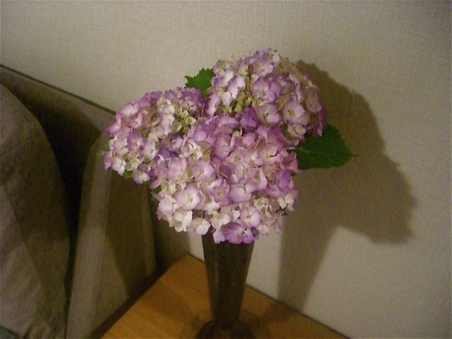 e0018777_2241979.jpg