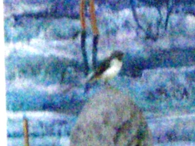 c0078480_17141014.jpg