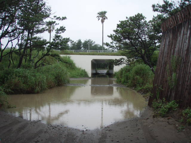 e0125483_175358100.jpg