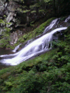 c0082785_13273542.jpg