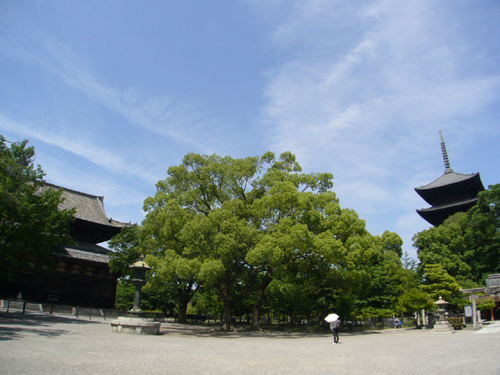 b0080789_23624.jpg