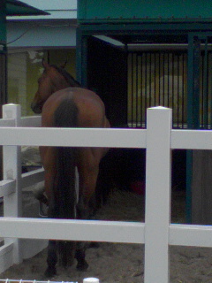 c0076490_20583121.jpg