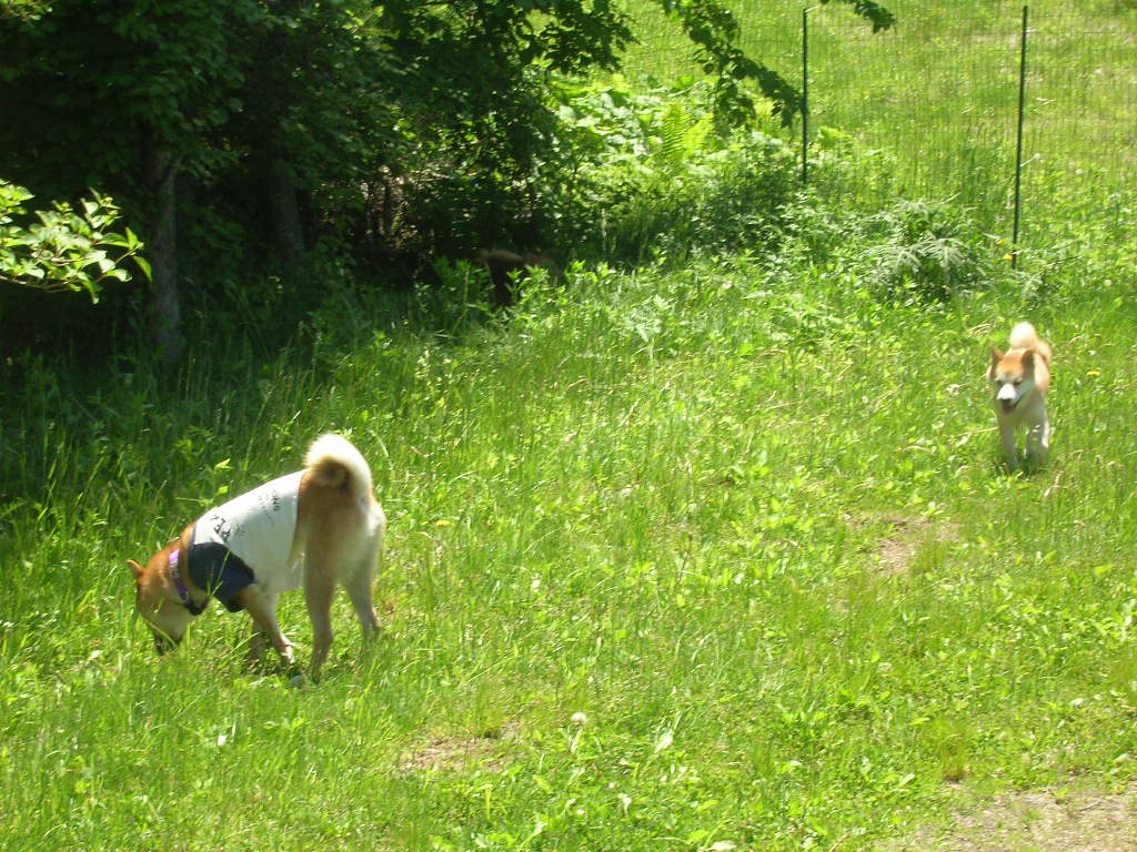 c0123890_2253759.jpg