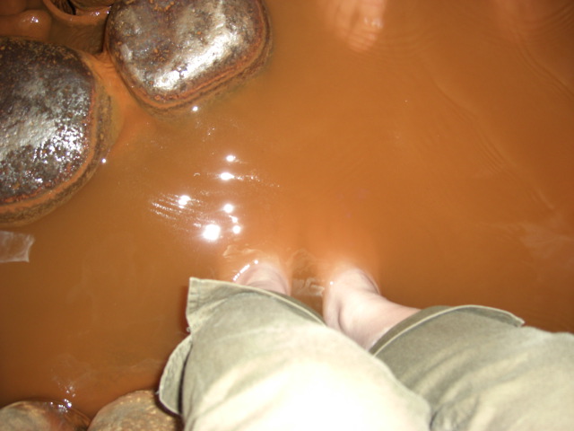 c0106491_113431.jpg