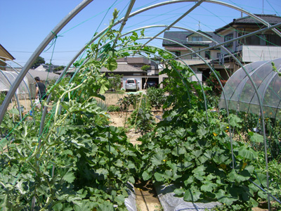 f0070493_23543853.jpg