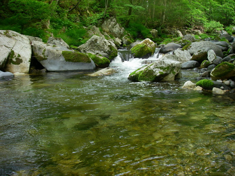 a0104199_224312.jpg