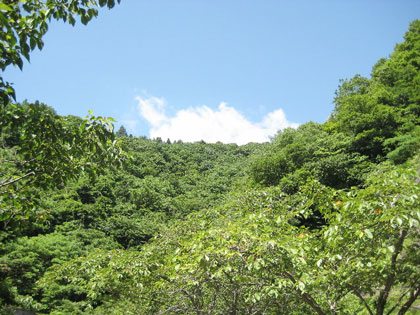 b0097200_14163018.jpg