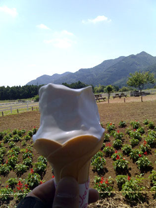 b0097200_14352173.jpg