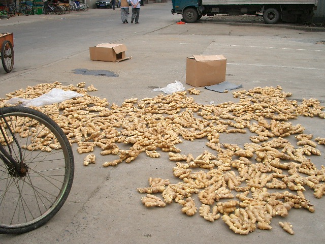 d0090300_2034656.jpg