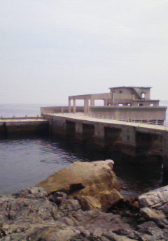 c0037103_17454431.jpg