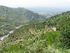 b0083405_16162726.jpg