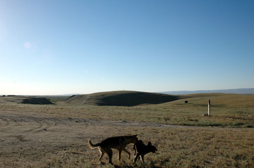 e0024206_1415589.jpg
