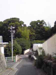 c0111310_16185055.jpg