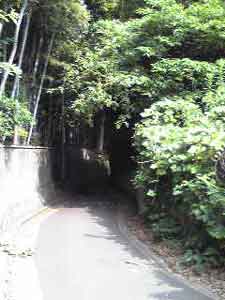 c0111310_16215850.jpg