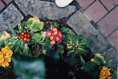 f0121111_21475070.jpg