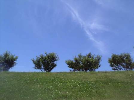 e0119017_0484911.jpg