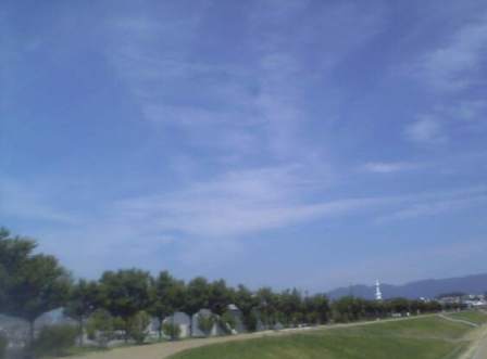 e0119017_1112969.jpg