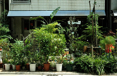 c0066827_10265681.jpg