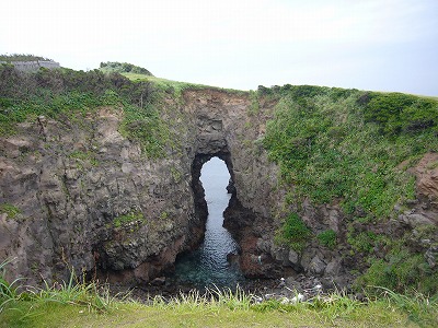 d0086228_1451999.jpg